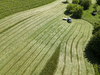 High angle view of agricultural field