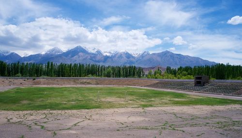 Scenic view of field against sky