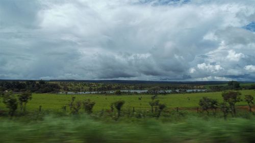Scenic view of agricultural field against sky