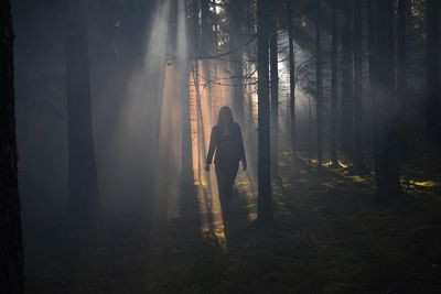 Woman standing by trees in forest during foggy weather