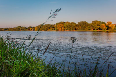 Scenic view of lake against clear sky