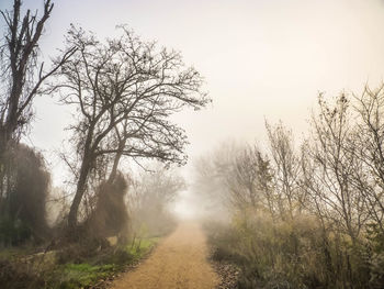 Road amidst bare trees against sky