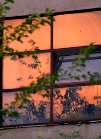 Close-up of orange window on building