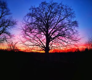 Silhouette bare tree on field against sky at sunset