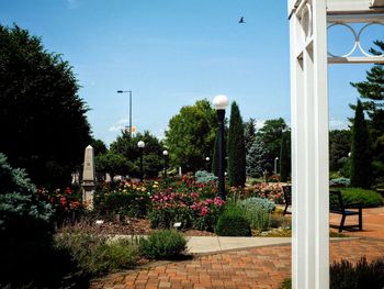 View of flowering plants in garden against clear sky