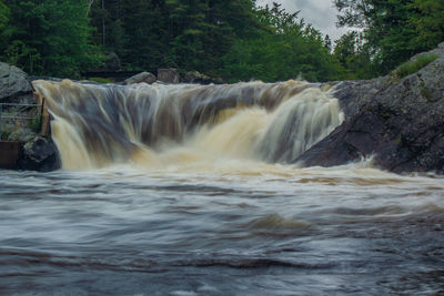 Scenic view of waterfall in forest