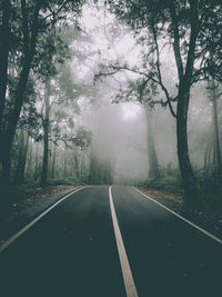 Empty road amidst trees in forest