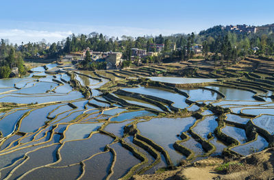 Yuanyang rice terrace, yunnan, china