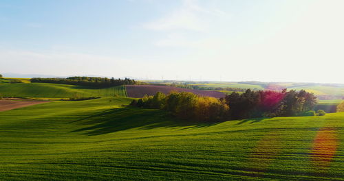 Scenic view of agricultural field against sky