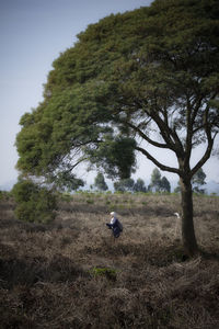 Trees on field against sky