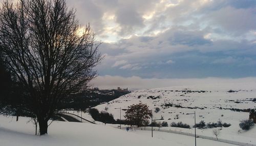 Bare tree on snow covered landscape against sky