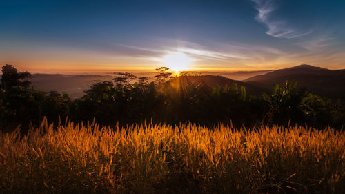 Scenic view of field against sky at sunset