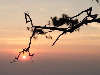 Low angle view of sky at sunset