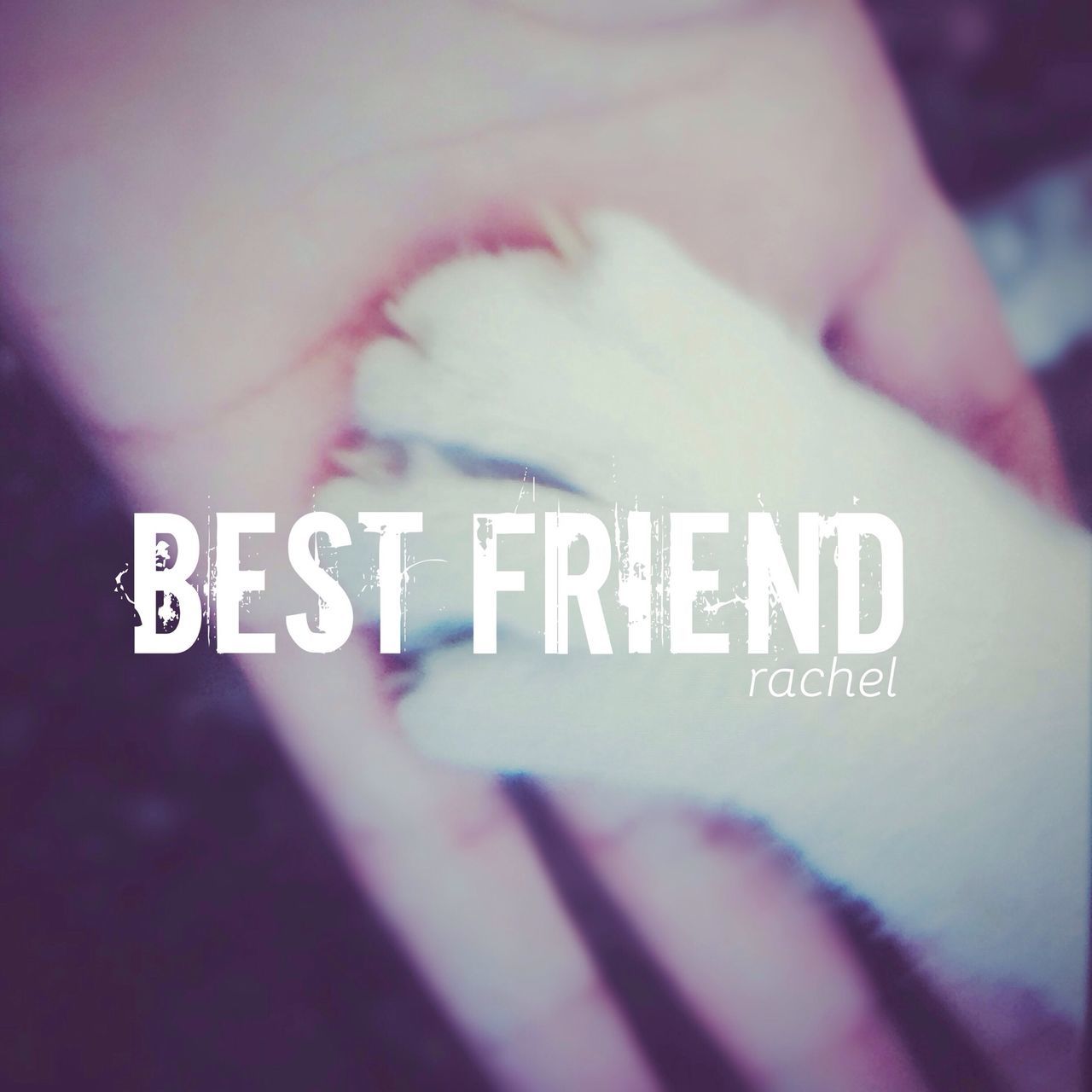 Best frind 