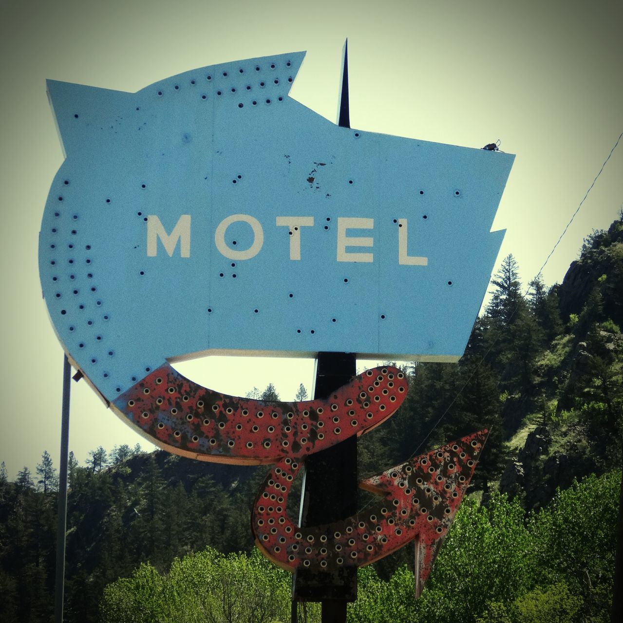 text, built structure, communication, western script, flag, architecture, building exterior, day, close-up, outdoors, clear sky, no people, patriotism, red, art and craft, plant, low angle view, road sign, sign, guidance