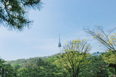 Trees and tower against sky