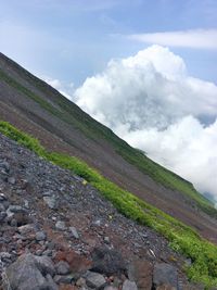 Scenic view of landscape against clear sky