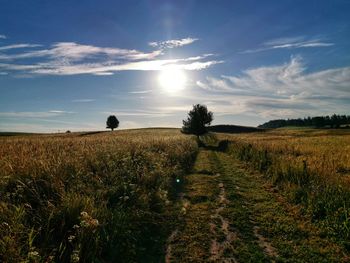 Scenic view of field against sky