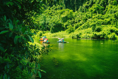 Boats in river amidst trees