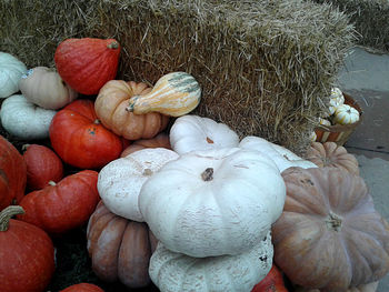 Close-up of pumpkins in autumn