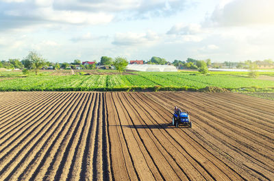 A tractor rides on a farm field. farmer on a tractor with milling machine loosens, grinds