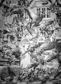 View of built structure