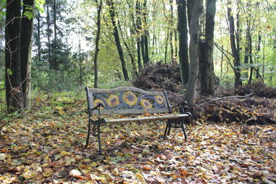 Bench in park during autumn