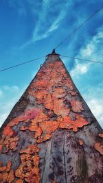 Low angle view of autumn leaves against cloudy sky