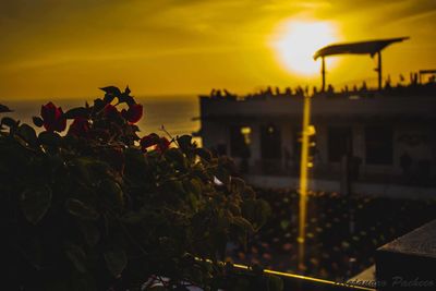 Scenic view of orange sky during sunset