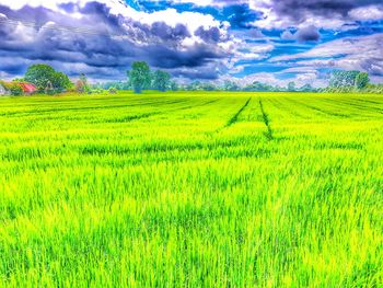 Scenic view of field against cloudy sky