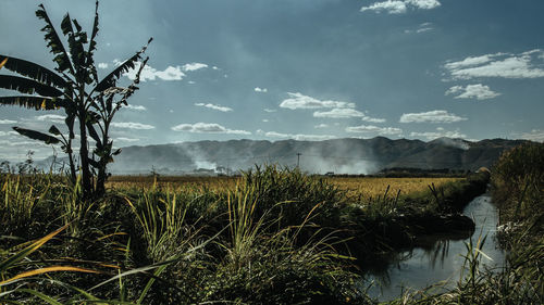 Scenic view of lake against sky