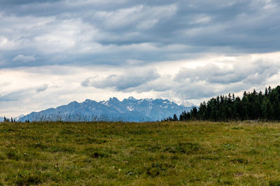 Scenic view of field against sky