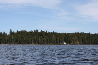 Scenic view of lake by trees against sky