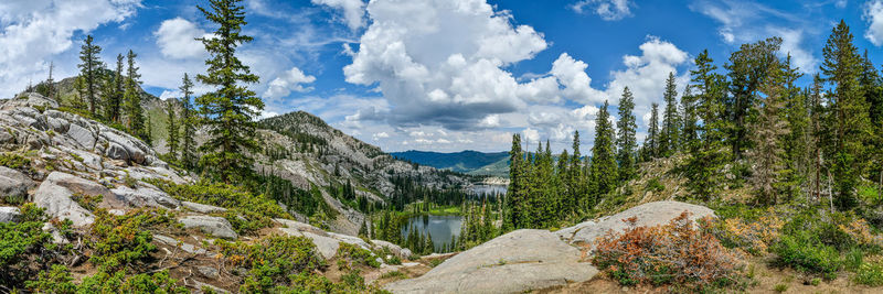 Panoramic view of trees and mountains against sky