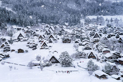 High angle view of snow covered trees