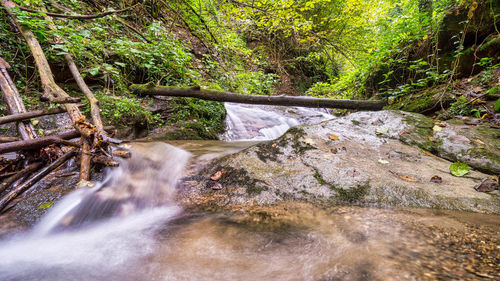 Stream flowing through rocks in forest