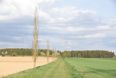 Scenic view of land against sky