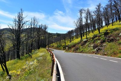 Road amidst trees against sky