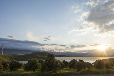 Electric wind generator turbine at sunset wind energy farm