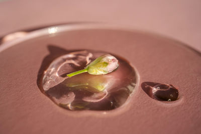 A drop of cosmetic gel with a flower on a pink background.