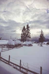 Snow covered trees against sky during winter