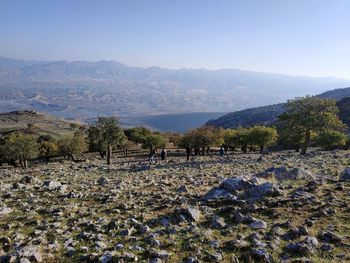 Scenic view of land and mountains against sky