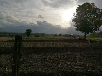 Scenic view of grassy field against cloudy sky