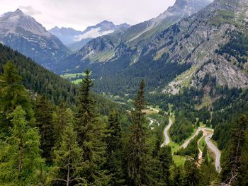 Panoramic view of pine trees and mountains against sky