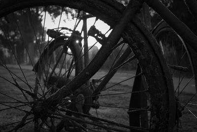 Reflection of tree in boat on sea