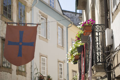 Low angle view of potted plant hanging amidst buildings in city