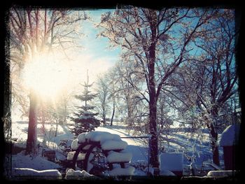 Bare trees on snow covered landscape