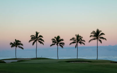 Palm trees on beach against clear sky
