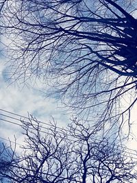 Low angle view of bare tree against blue sky