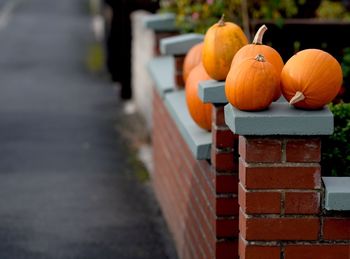 Close-up of pumpkins on street